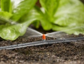 automatické zavlažovanie zeleniny v skleníku gardena